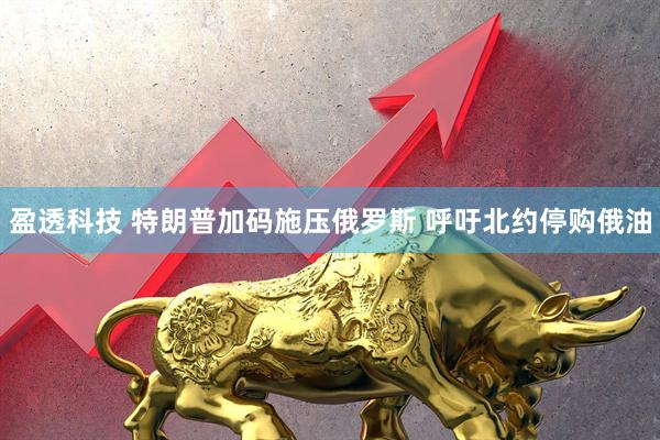 盈透科技 特朗普加码施压俄罗斯 呼吁北约停购俄油