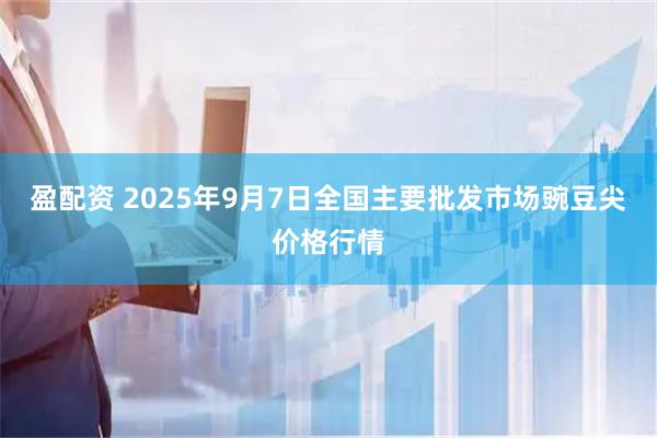 盈配资 2025年9月7日全国主要批发市场豌豆尖价格行情