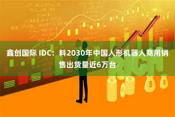 鑫创国际 IDC：料2030年中国人形机器人商用销售出货量近6万台