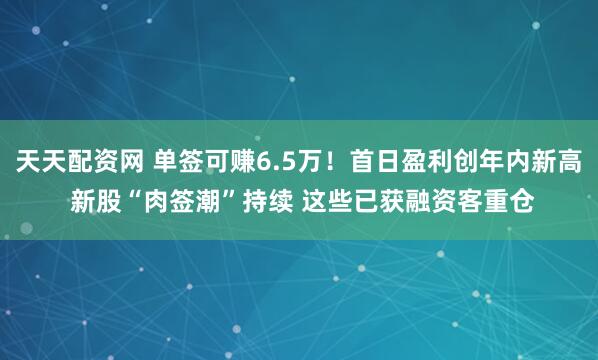 天天配资网 单签可赚6.5万！首日盈利创年内新高 新股“肉签潮”持续 这些已获融资客重仓